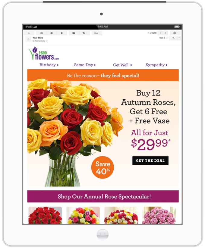 Email With Big Images Template