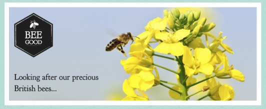 Bee_Good_Success_Story