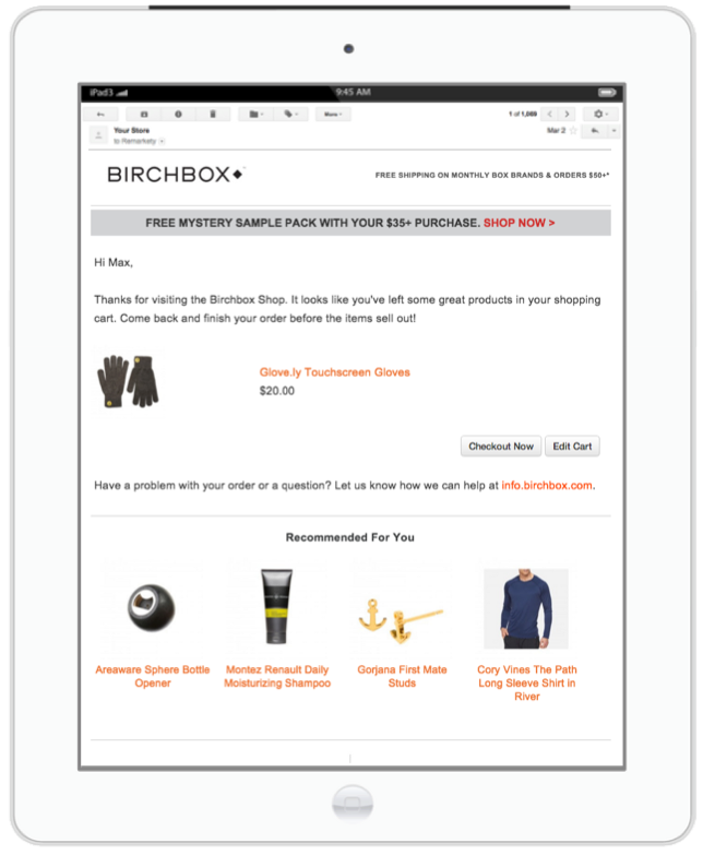 biggest brands Abandoned Cart Email Template