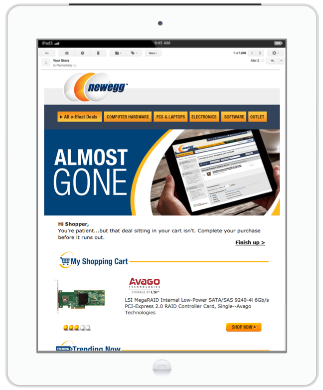 Newegg Abandoned Cart Email Exmaple