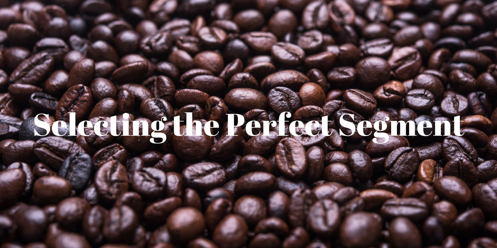 segmentation with purpose
